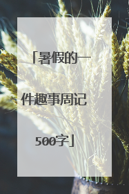 暑假的一件趣事周记500字