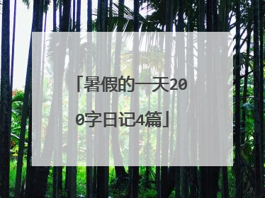 暑假的一天200字日记4篇
