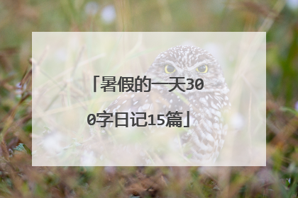 暑假的一天300字日记15篇
