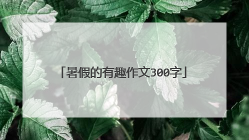 暑假的有趣作文300字