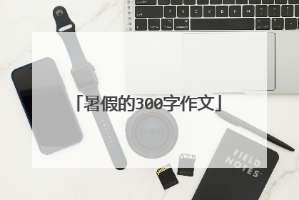 暑假的300字作文