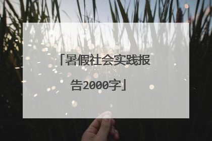暑假社会实践报告2000字