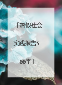 暑假社会实践报告500字