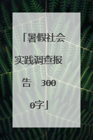 暑假社会实践调查报告 3000字