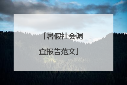 暑假社会调查报告范文