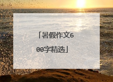 暑假作文600字精选