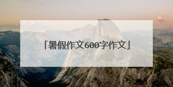 暑假作文600字作文