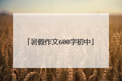 暑假作文600字初中