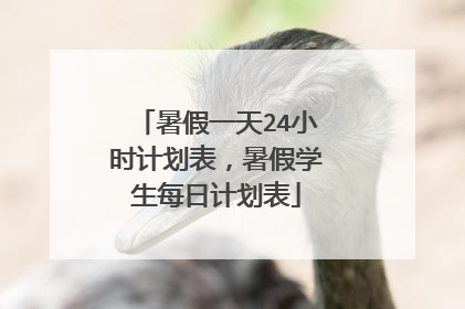 暑假一天24小时计划表，暑假学生每日计划表