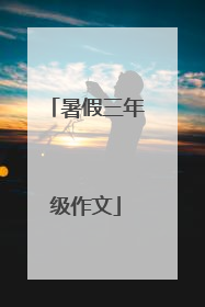 暑假三年级作文