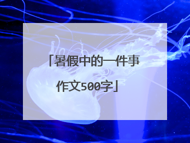 暑假中的一件事作文500字