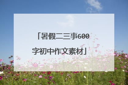 暑假二三事600字初中作文素材