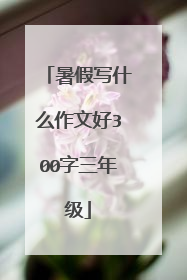 暑假写什么作文好300字三年级
