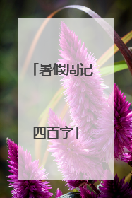 暑假周记四百字