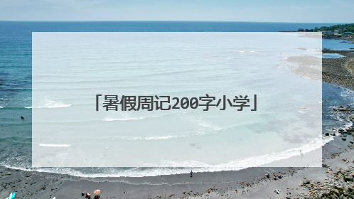 暑假周记200字小学