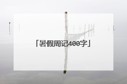 暑假周记400字