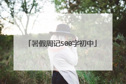 暑假周记500字初中