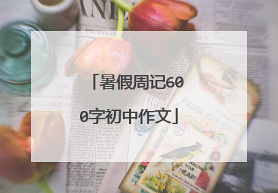 暑假周记600字初中作文