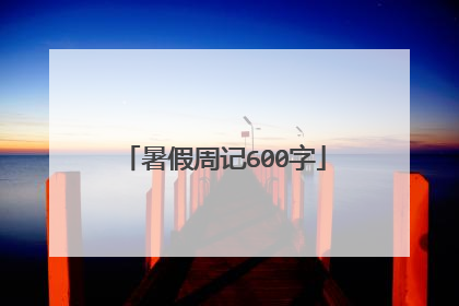 暑假周记600字