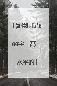 暑假周记800字  高一水平的