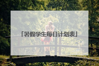 暑假学生每日计划表