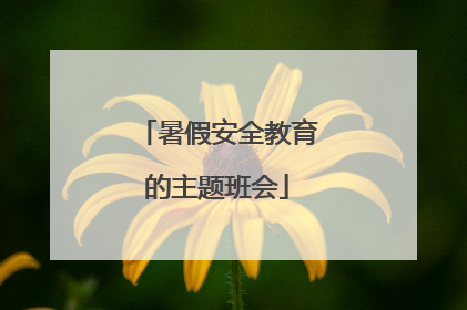 暑假安全教育的主题班会