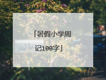暑假小学周记100字