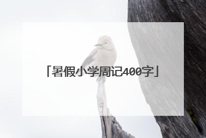 暑假小学周记400字