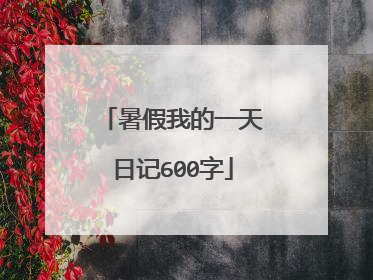 暑假我的一天日记600字
