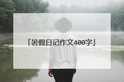 暑假日记作文400字