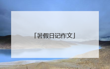 暑假日记作文