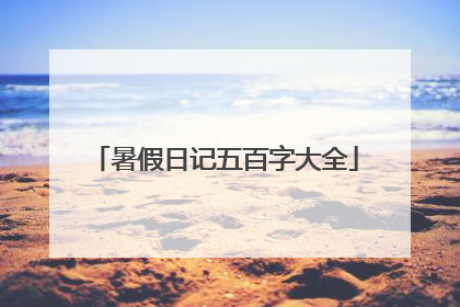 暑假日记五百字大全