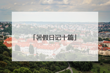暑假日记十篇