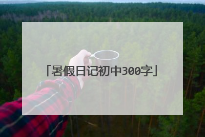 暑假日记初中300字