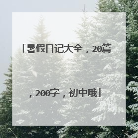 暑假日记大全,20篇,200字,初中哦