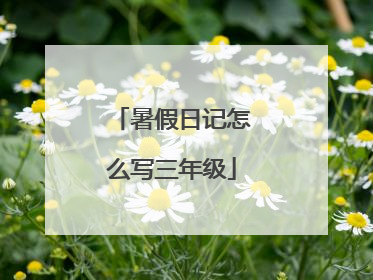 暑假日记怎么写三年级