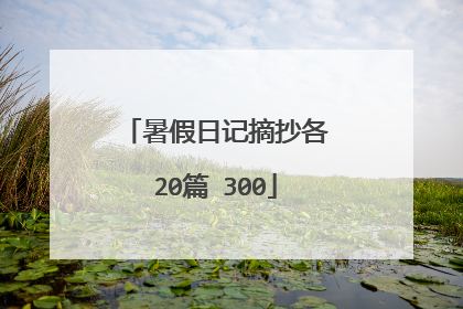 暑假日记摘抄各20篇 300