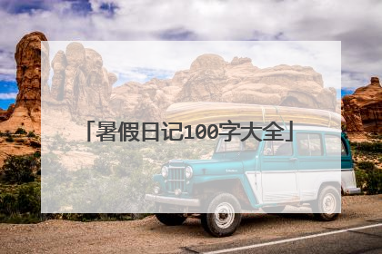 暑假日记100字大全
