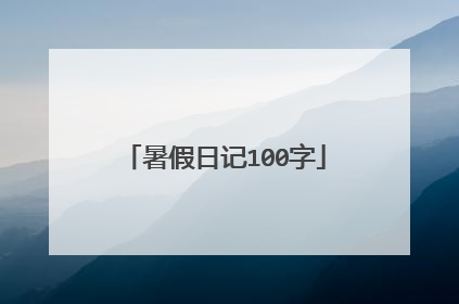暑假日记100字