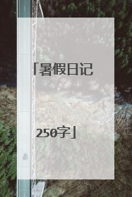 暑假日记250字
