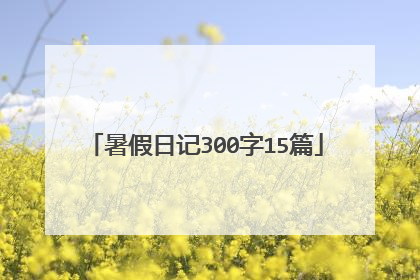 暑假日记300字15篇
