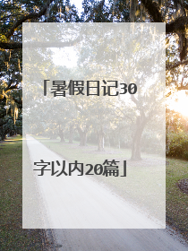 暑假日记30字以内20篇