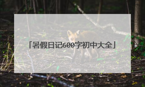 暑假日记600字初中大全