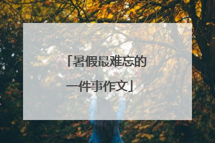 暑假最难忘的一件事作文