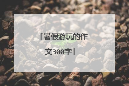 暑假游玩的作文300字