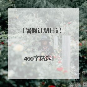 暑假计划日记400字精选