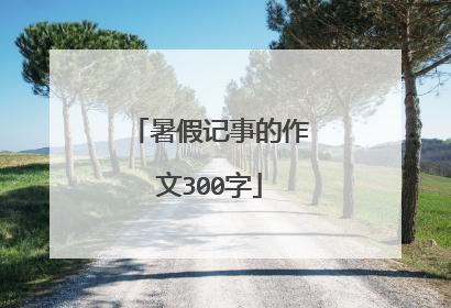暑假记事的作文300字