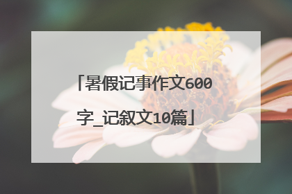 暑假记事作文600字_记叙文10篇
