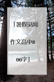 暑假见闻作文高中800字