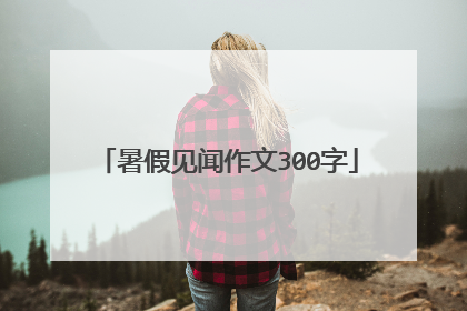 暑假见闻作文300字